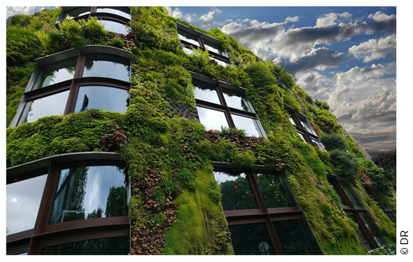 Fidèle à sa politique d’investissement responsable, EXTENDAM réaffirme une stratégie ESG ambitieuse et nomme Cécile Leclerc Responsable ESG. Précédemment Responsable d’Investissement chez EXTENDAM, Cécile coordonnera la mise en place de la stratégie à tous les niveaux, notamment dans les processus d’investissement. Un parcours en phase avec les objectifs Environnementaux, Sociaux et de Gouvernance d’EXTENDAM Arrivée…