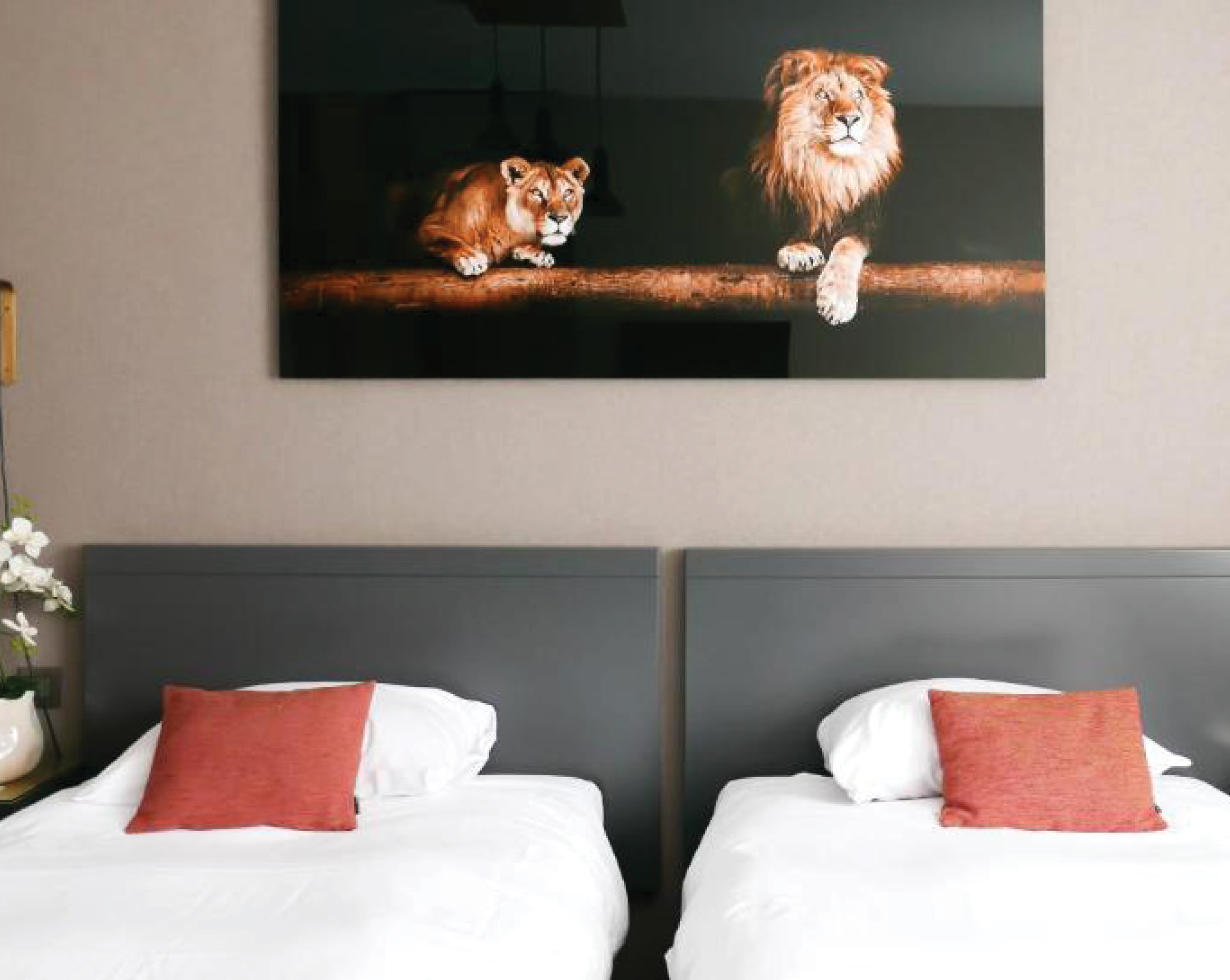 EXTENDAM et VICARTEM signent une première acquisition commune en Belgique via l’acquisition des murs et du fonds de commerce de l’Hôtel Atlas Bruxelles.  L’hôtel 3 étoiles de 88 clés se situe rue du Vieux Marché aux Grains, à quelques centaines de mètres de la Grand-Place dans le centre-ville historique de la capitale des Flandres. Il…